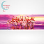 Flamingók tánca Panorama puzzle - 1000 db-os Clementoni (39427), A kép