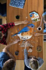 Wow poszter méretű forma puzzle - Kékmadár, 300 db, játék közben