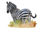 Wow poszter méretű forma puzzle - Zebra, 1000 db, a kép kirakva