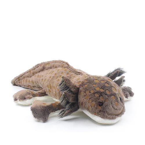 Barna plüss axolotl, 26 cm