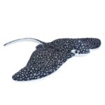 Élethű plüss sasrája, 30 cm (Wild Republic)